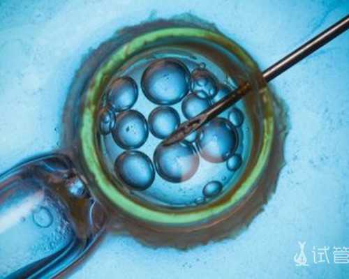 冷冻胚胎的法律边界与伦理困境