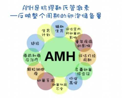 试管婴儿助孕费用解析与流程详解