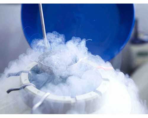 探寻子宫移植的可能性：助孕新希望