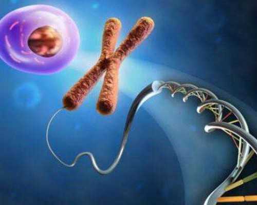 无锡供卵试管婴儿费用详解及助孕流程