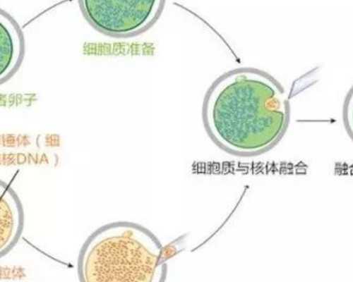 第三代辅助生殖技术费用与成功率解析