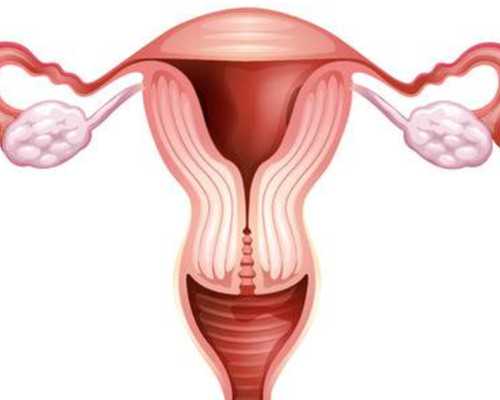 当地可进行辅助生殖的医疗机构与流程解析